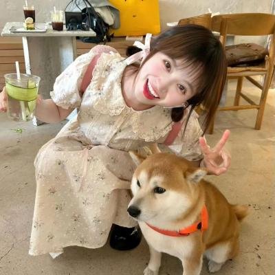 小夜莺