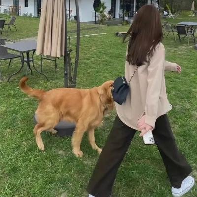 洗车好兄弟